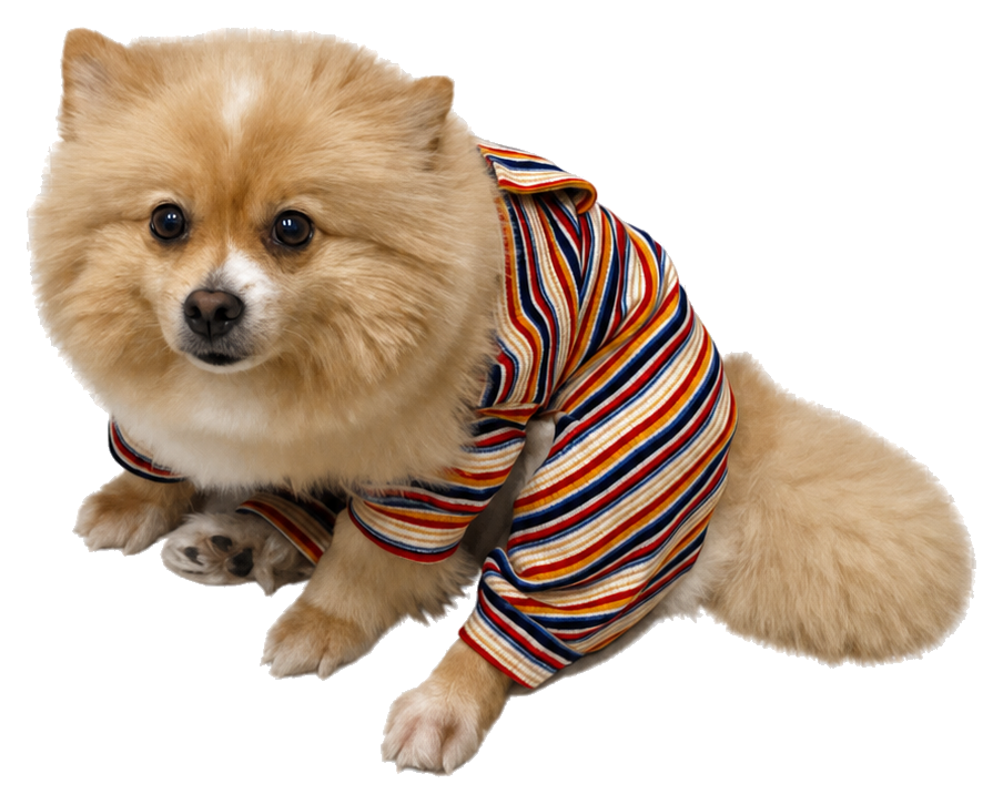 Small tan dog pet cutout